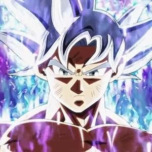 Meet your Posher, Devin